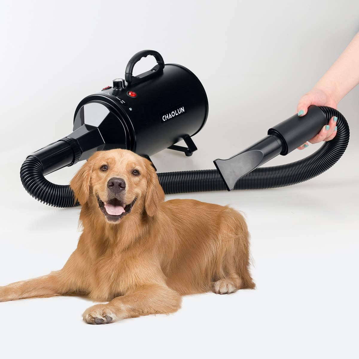 High-Velocity Dog Grooming Dryer – Professional Pet Hair Blow Dryer with Heater & Adjustable Speed, Fast Drying for All Coat Types