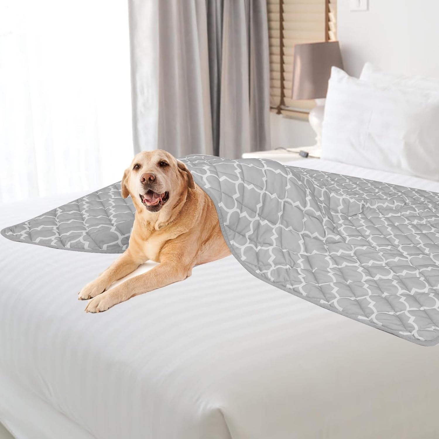 Dog Cooling Mat Pad for Medium Large Dogs, Cooling Blanket for Kennels Crate Floor, Dog Cat Summer Sleeping Bed Outside, Washable & Portable, Xx-Large 60"X80"